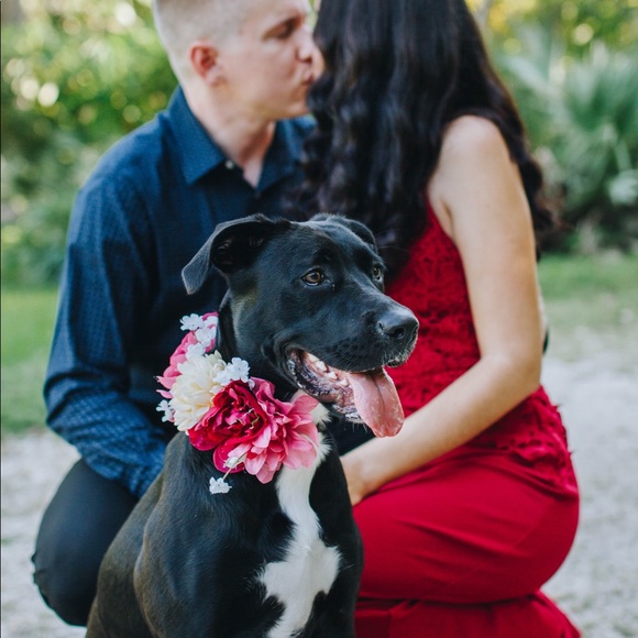 Meet your Posher, Alix - Picture 7 of 9